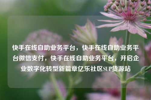 快手在线自助业务平台，快手在线自助业务平台微信支付	，快手在线自助业务平台，开启企业数字化转型新篇章亿乐社区SUP货源站  第1张