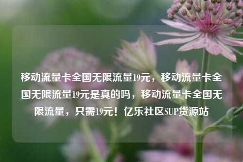 移动流量卡全国无限流量19元，移动流量卡全国无限流量19元是真的吗	，移动流量卡全国无限流量，只需19元！亿乐社区SUP货源站  第1张