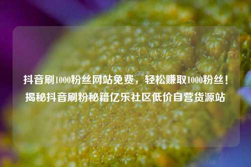抖音刷1000粉丝网站免费	，轻松赚取1000粉丝！揭秘抖音刷粉秘籍亿乐社区低价自营货源站  第1张