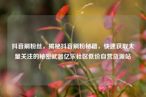 抖音刷粉丝，揭秘抖音刷粉秘籍	，快速获取大量关注的秘密武器亿乐社区低价自营货源站  第1张