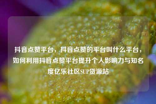 抖音点赞平台，抖音点赞的平台叫什么平台，如何利用抖音点赞平台提升个人影响力与知名度亿乐社区SUP货源站  第1张