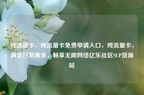 纯流量卡	，纯流量卡免费申请入口，纯流量卡，满足日常需求	，畅享无限网络亿乐社区SUP货源站  第1张
