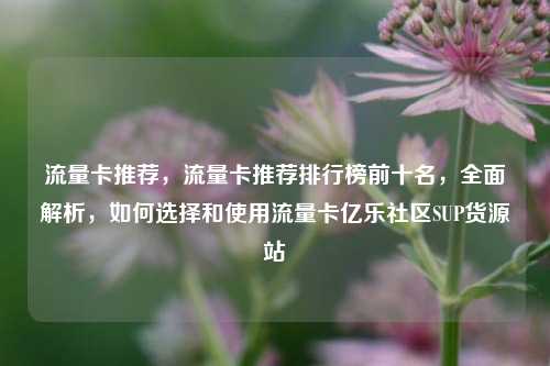 流量卡推荐	，流量卡推荐排行榜前十名，全面解析，如何选择和使用流量卡亿乐社区SUP货源站  第1张