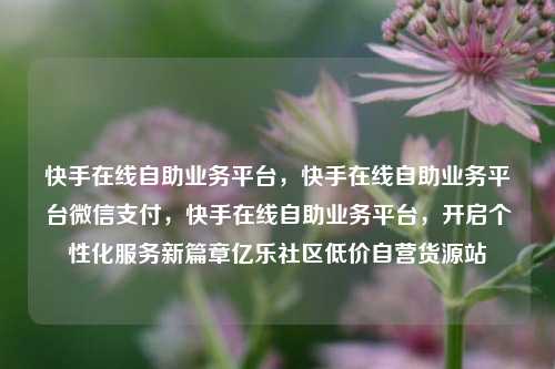 快手在线自助业务平台，快手在线自助业务平台微信支付，快手在线自助业务平台	，开启个性化服务新篇章亿乐社区低价自营货源站  第1张