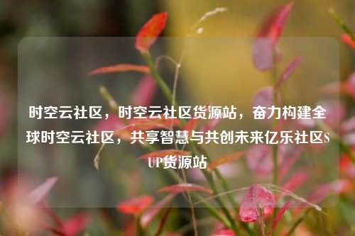 时空云社区，时空云社区货源站	，奋力构建全球时空云社区，共享智慧与共创未来亿乐社区SUP货源站  第1张