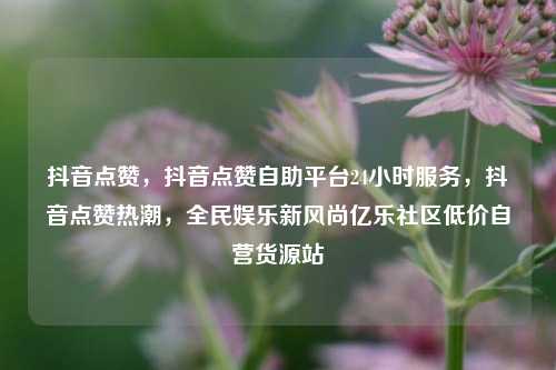 抖音点赞，抖音点赞自助平台24小时服务，抖音点赞热潮，全民娱乐新风尚亿乐社区低价自营货源站  第1张