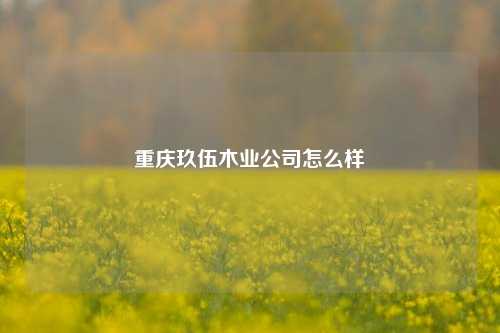 重庆玖伍木业公司怎么样  第1张