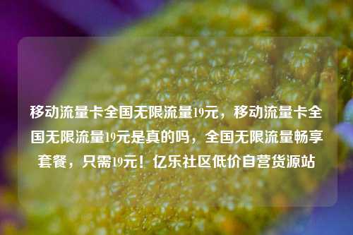 移动流量卡全国无限流量19元，移动流量卡全国无限流量19元是真的吗	，全国无限流量畅享套餐，只需19元！亿乐社区低价自营货源站  第1张