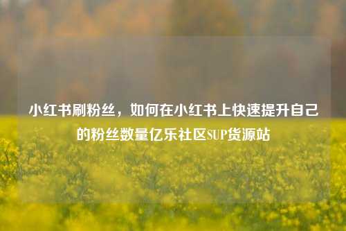 小红书刷粉丝，如何在小红书上快速提升自己的粉丝数量亿乐社区SUP货源站  第1张