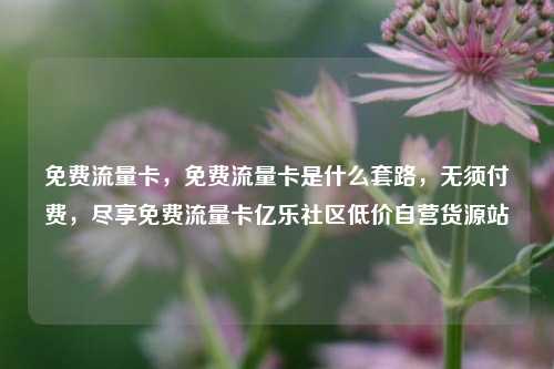 免费流量卡，免费流量卡是什么套路	，无须付费，尽享免费流量卡亿乐社区低价自营货源站  第1张
