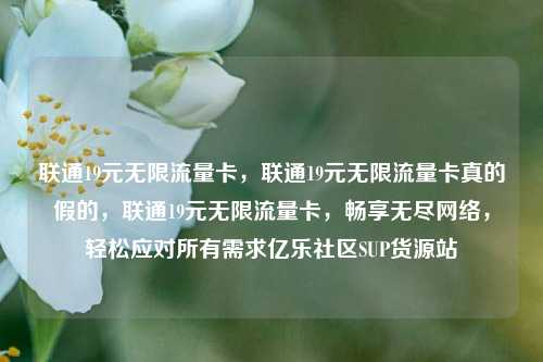联通19元无限流量卡，联通19元无限流量卡真的假的	，联通19元无限流量卡，畅享无尽网络，轻松应对所有需求亿乐社区SUP货源站  第1张