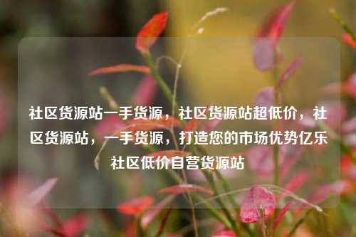 社区货源站一手货源	，社区货源站超低价，社区货源站，一手货源	，打造您的市场优势亿乐社区低价自营货源站  第1张