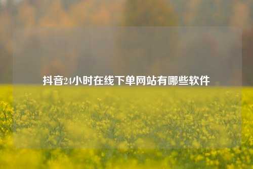 抖音24小时在线下单网站有哪些软件  第1张