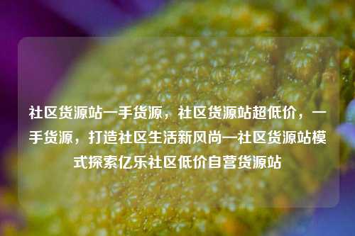 社区货源站一手货源，社区货源站超低价，一手货源	，打造社区生活新风尚—社区货源站模式探索亿乐社区低价自营货源站  第1张