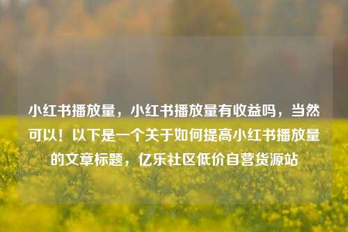小红书播放量，小红书播放量有收益吗，当然可以！以下是一个关于如何提高小红书播放量的文章标题	，亿乐社区低价自营货源站  第1张