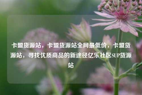 卡盟货源站，卡盟货源站全网最低价，卡盟货源站	，寻找优质商品的新途径亿乐社区SUP货源站  第1张