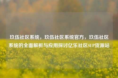 玖伍社区系统	，玖伍社区系统官方，玖伍社区系统的全面解析与应用探讨亿乐社区SUP货源站  第1张