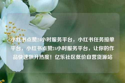 小红书点赞24小时服务平台，小红书任务接单平台，小红书点赞24小时服务平台	，让你的作品快速飙升热度！亿乐社区低价自营货源站  第1张