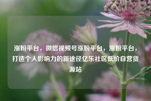 涨粉平台	，微信视频号涨粉平台，涨粉平台，打造个人影响力的新途径亿乐社区低价自营货源站  第1张