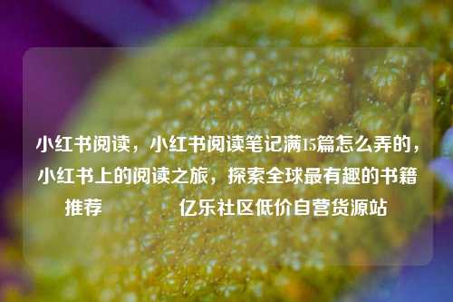 小红书阅读	，小红书阅读笔记满15篇怎么弄的，小红书上的阅读之旅，探索全球最有趣的书籍推荐🌟亿乐社区低价自营货源站  第1张