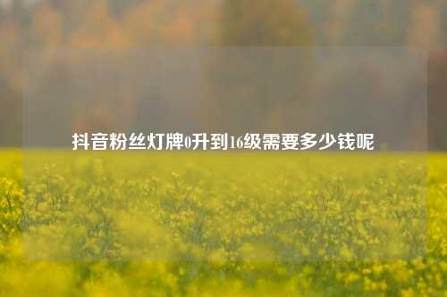 抖音粉丝灯牌0升到16级需要多少钱呢  第1张