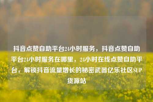 抖音点赞自助平台24小时服务	，抖音点赞自助平台24小时服务在哪里，24小时在线点赞自助平台，解锁抖音流量增长的秘密武器亿乐社区SUP货源站  第1张