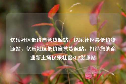 亿乐社区低价自营货源站，亿乐社区最低价货源站，亿乐社区低价自营货源站	，打造您的商业新主场亿乐社区SUP货源站  第1张