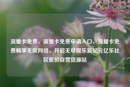 流量卡免费	，流量卡免费申请入口，流量卡免费畅享无限网络，开启无尽娱乐新纪元亿乐社区低价自营货源站  第1张