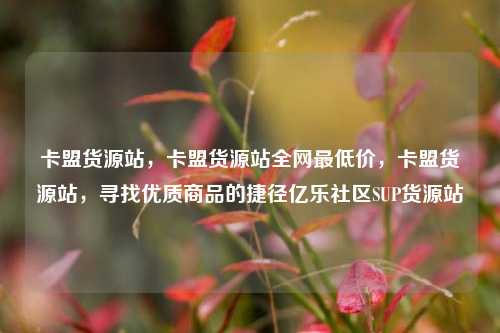 卡盟货源站，卡盟货源站全网最低价	，卡盟货源站，寻找优质商品的捷径亿乐社区SUP货源站  第1张