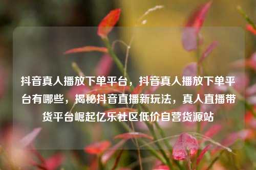 抖音真人播放下单平台	，抖音真人播放下单平台有哪些，揭秘抖音直播新玩法，真人直播带货平台崛起亿乐社区低价自营货源站  第1张
