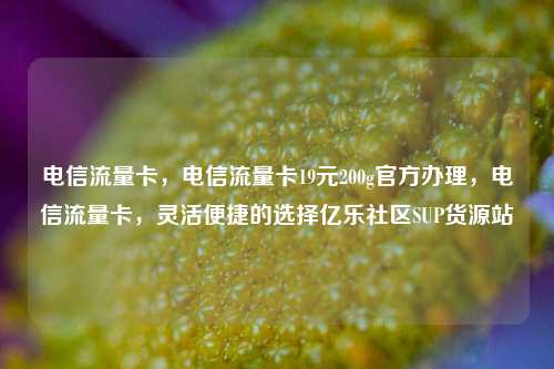 电信流量卡，电信流量卡19元200g官方办理	，电信流量卡，灵活便捷的选择亿乐社区SUP货源站  第1张