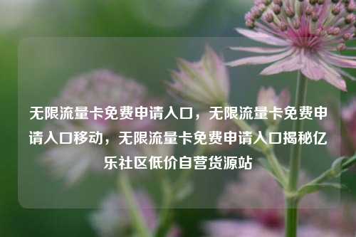 无限流量卡免费申请入口，无限流量卡免费申请入口移动，无限流量卡免费申请入口揭秘亿乐社区低价自营货源站  第1张
