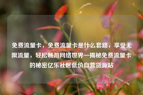 免费流量卡	，免费流量卡是什么套路，享受无限流量，轻松畅游网络世界—揭秘免费流量卡的秘密亿乐社区低价自营货源站  第1张